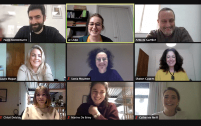 Transnational Meeting Online overviews the activities