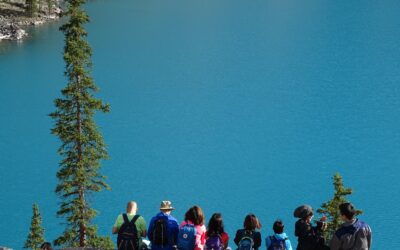 Booking Platforms For Sustainable Travels